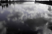 Le changement climatique des deux côtés du Rhin. Deux modèles d’expertise, deux savoirs “objectifs”